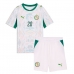 Camiseta Senegal Habib Diallo #20 Primera Equipación Replica Mundial 2026 para niños mangas cortas (+ Pantalones cortos)